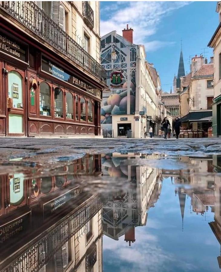 Charmante Maison Climatisee Avec Son Jardin A 5 Minutes De Dijon Saint-Apollinaire  Exteriér fotografie
