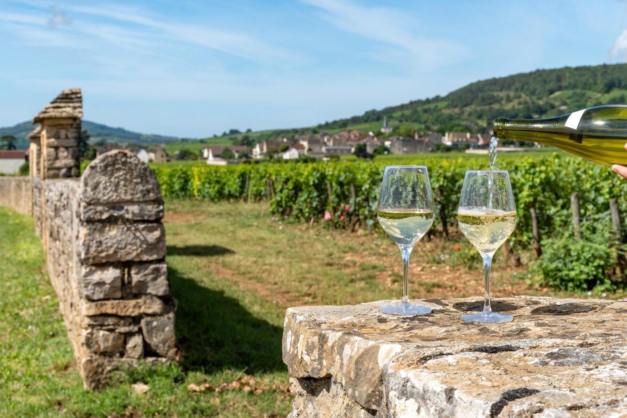 Charmante Maison Climatisee Avec Son Jardin A 5 Minutes De Dijon Saint-Apollinaire  Exteriér fotografie